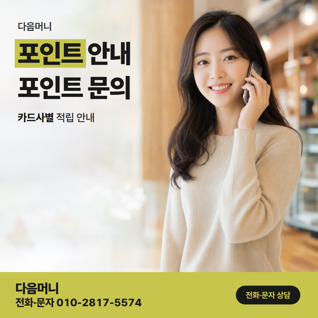 다음머니 인천카드깡 적립 내역